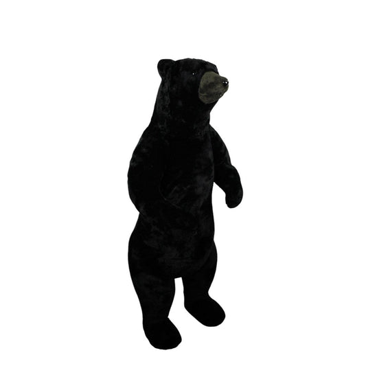 Oso Negro 2 patas