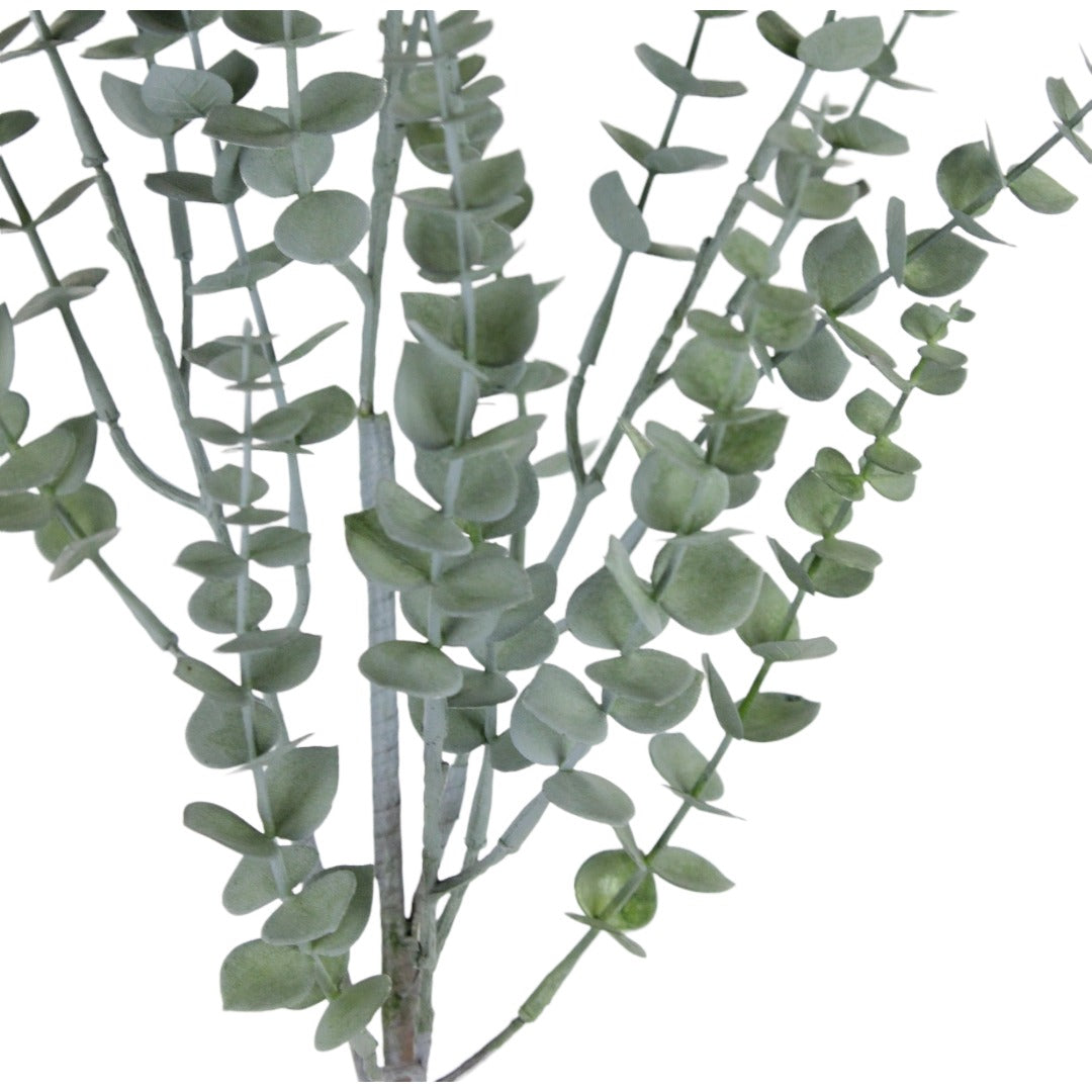 Rama Eucalipto 35"