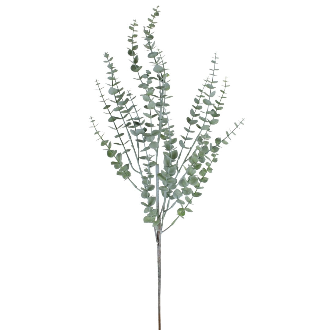 Rama Eucalipto 35"