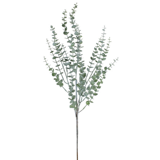 Rama Eucalipto 35"