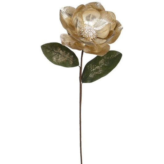 Magnolia Dorada con Aplicaciones