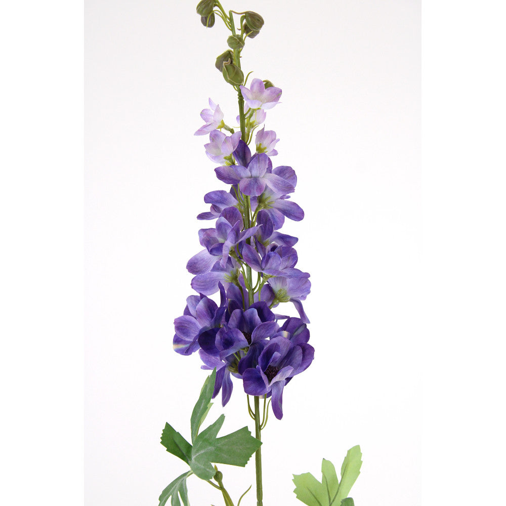 Delfinium Morado