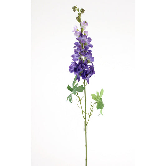 Delfinium Morado