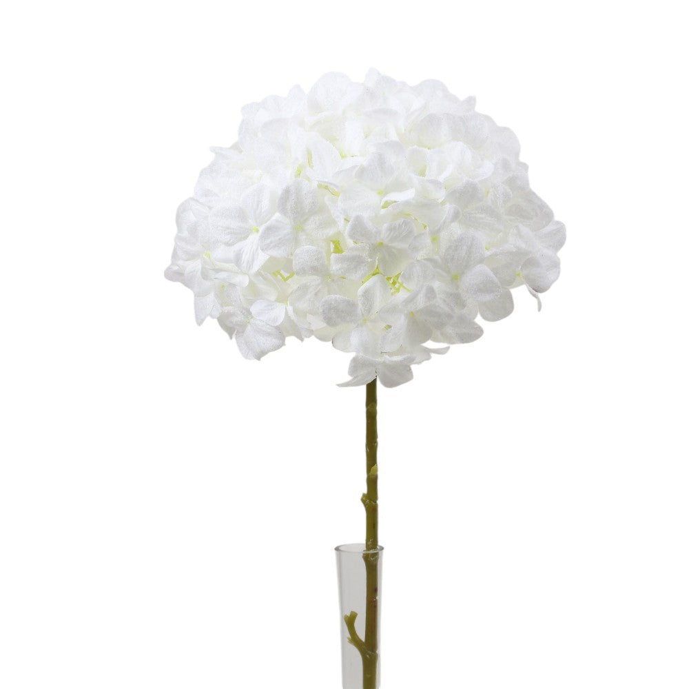 Hortensia Blanca Nevada