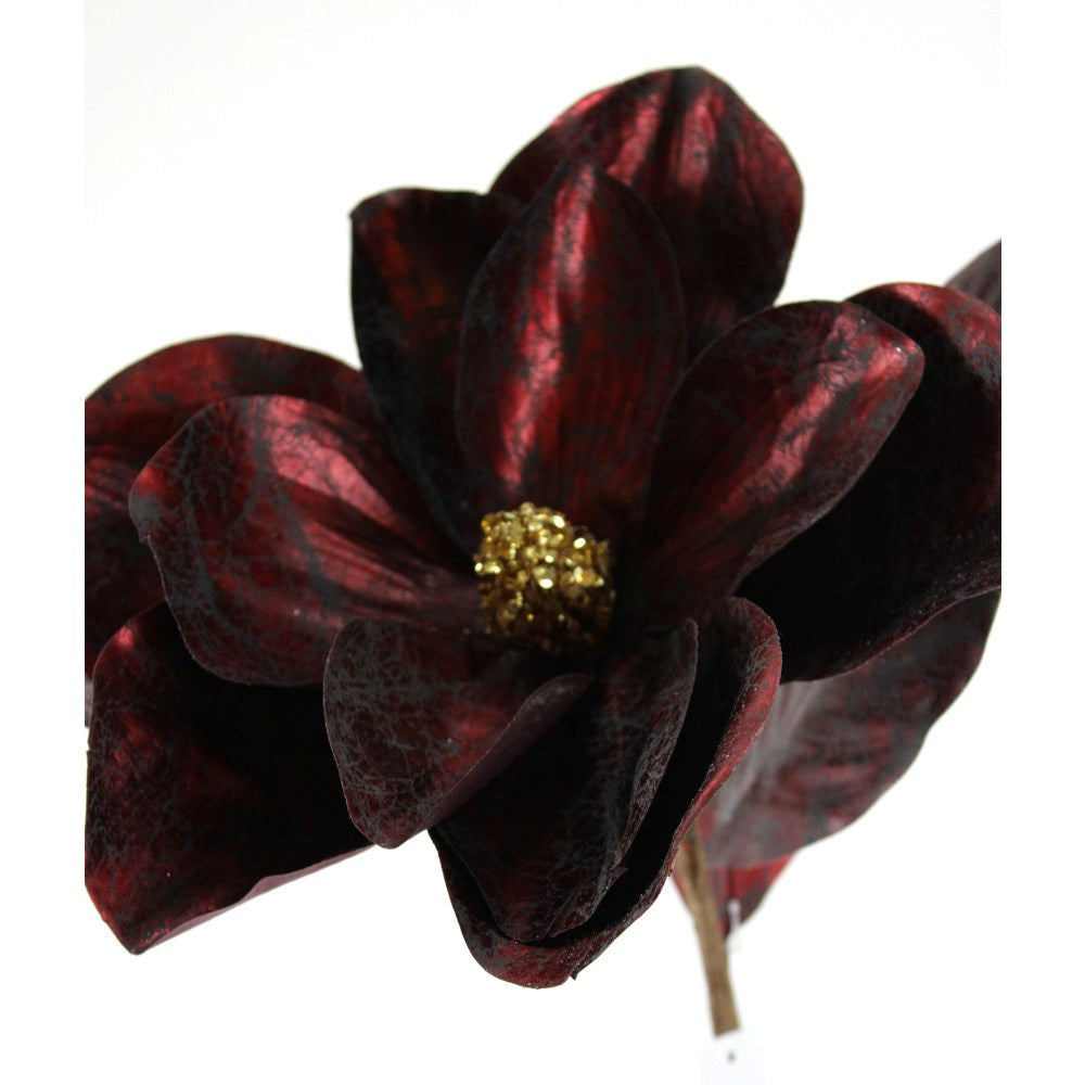 Magnolia Burgundy 25¨
