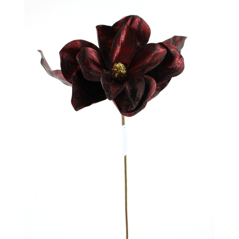 Magnolia Burgundy 25¨