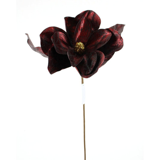 Magnolia Burgundy 25¨