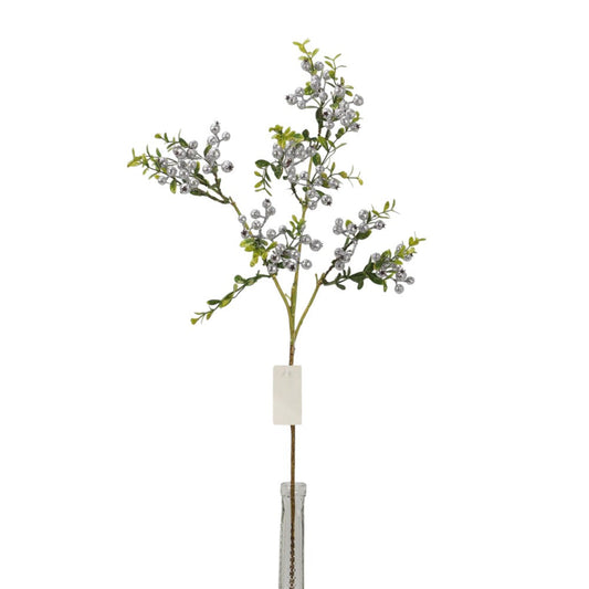 Rama Berry Plata