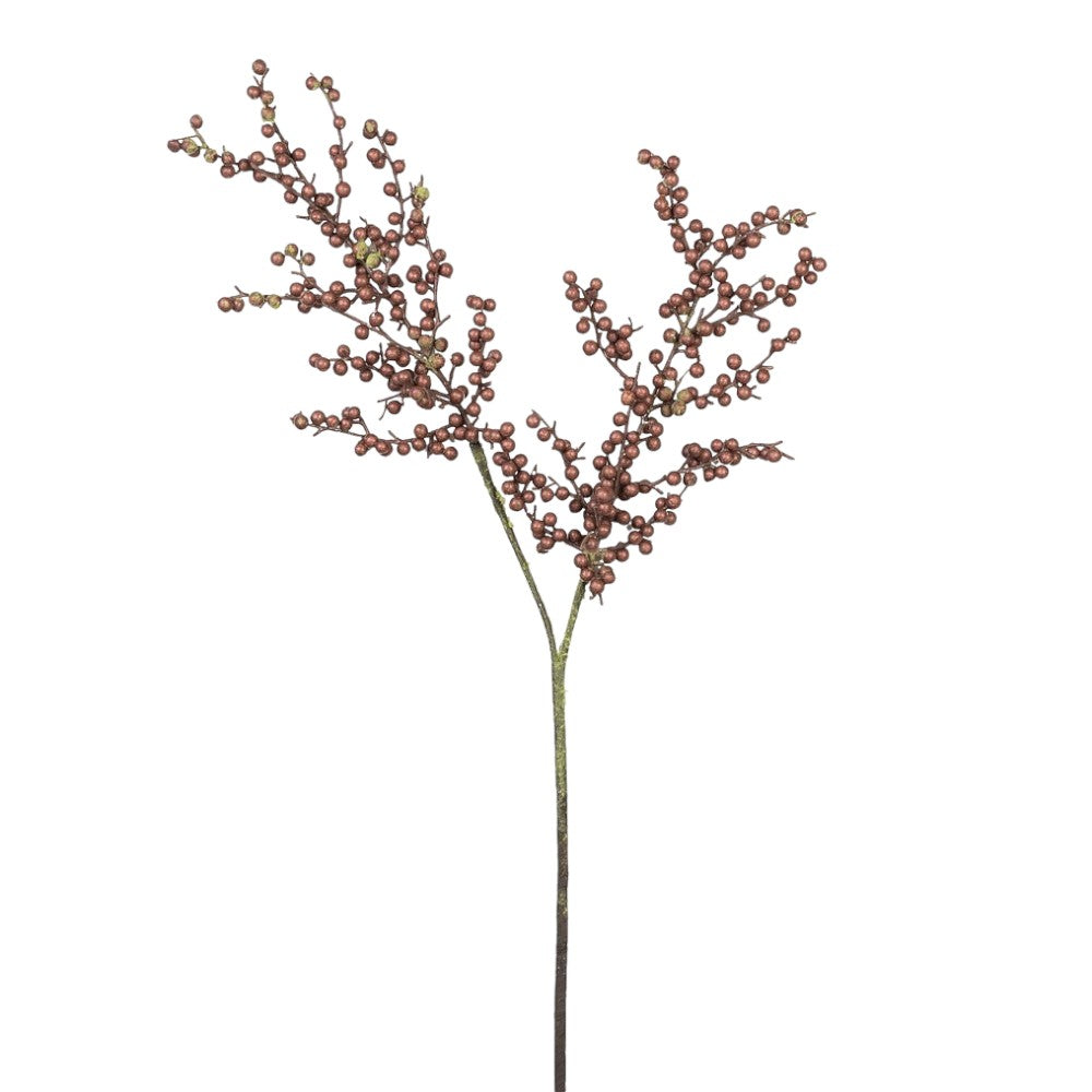 Rama Berry Café 34"