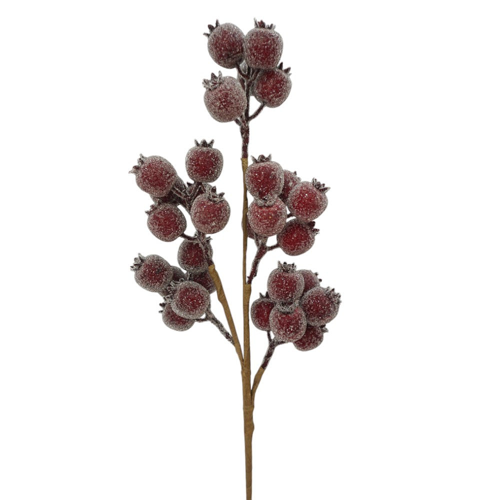 Rama Berry Burgundy 21"
