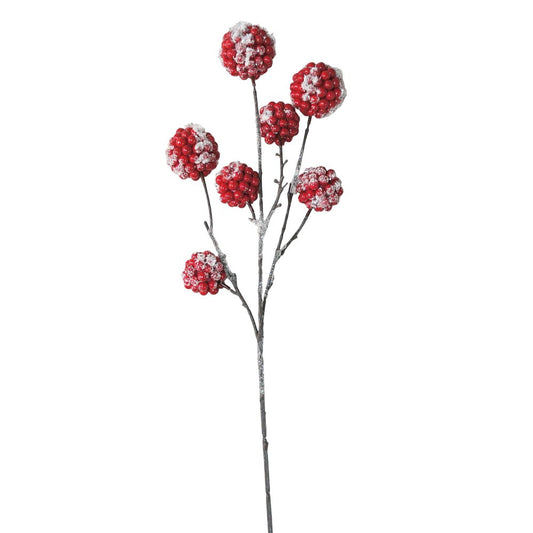 Berry Ball Rojo nevada 24"