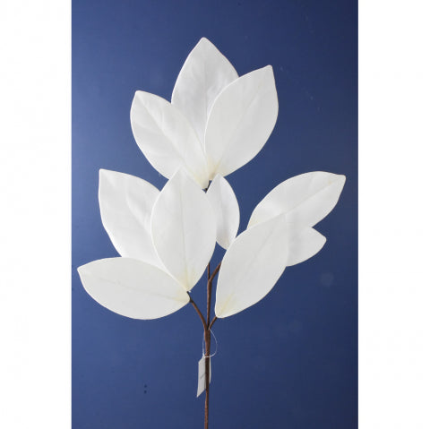 Magnolia Blanca 20"