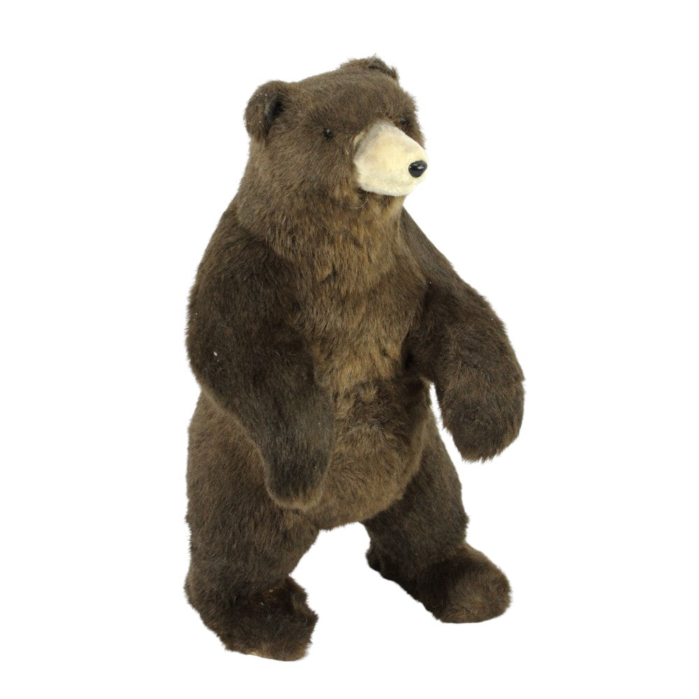 Oso 19"