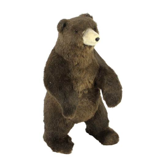 Oso 19"