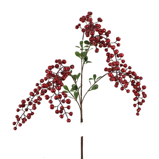 Rama Berry Burgundy 39"