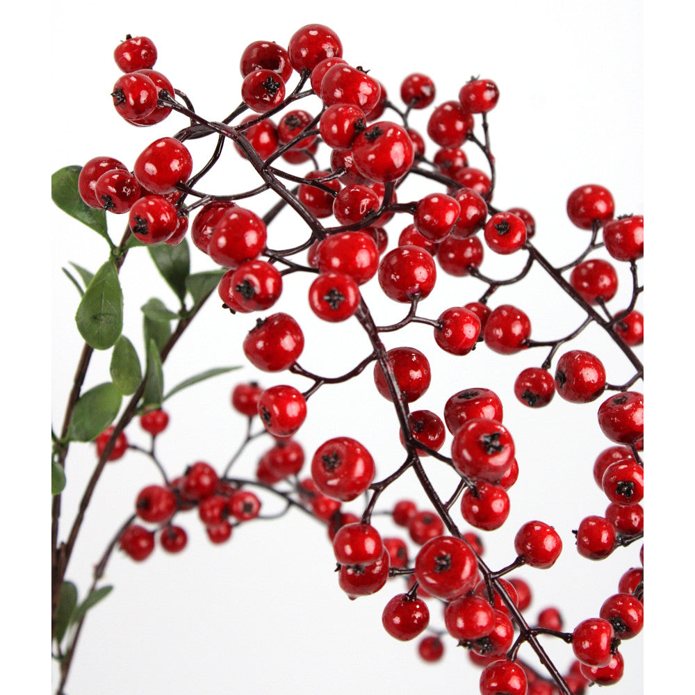 Rama Berry Roja 39"