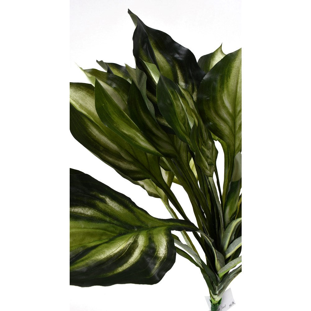 Hotsta Bush 27"