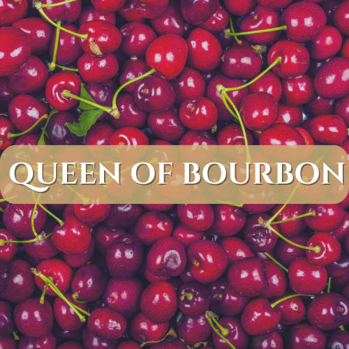 Aceite para Difusor Queen of Bourbon 8oz