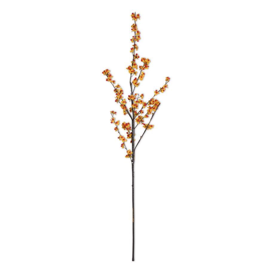 Rama Agridulce Naranja 40"
