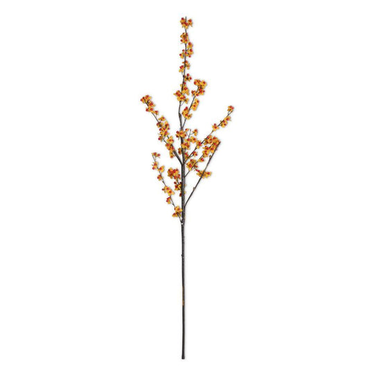 Rama Agridulce Naranja 40"