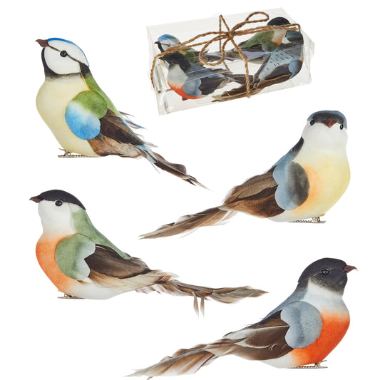 Caja de Pajaritos con Plumas