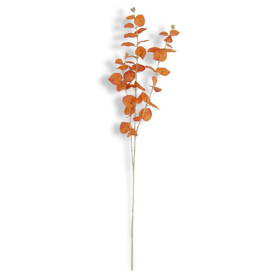 Eucalipto Naranja 35.5"