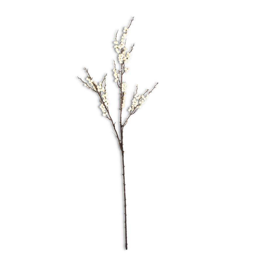 Rama Berry Blanca 43"