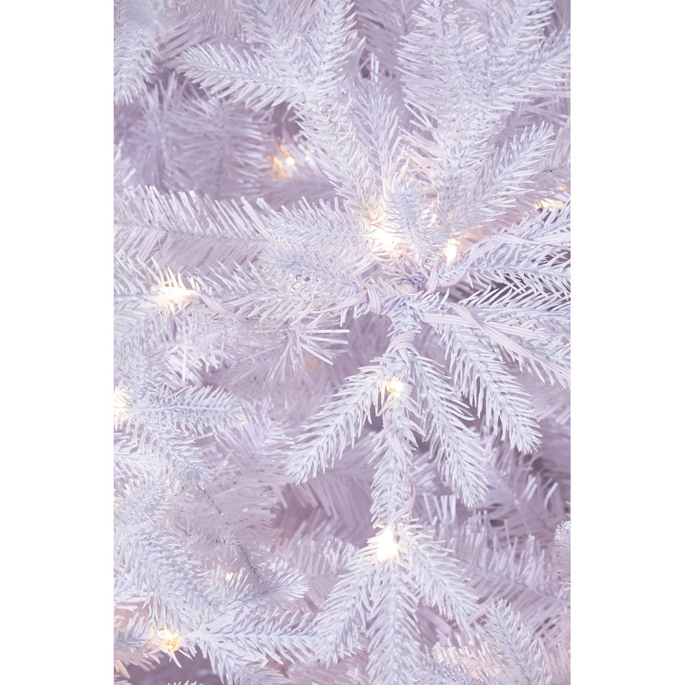 Pino Blanco 7.5'x 62"