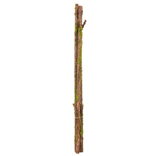 Tronco con Musgo 31"