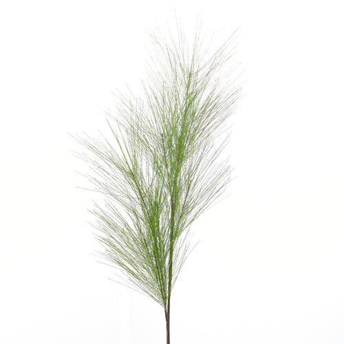 Rama Pino Long Needle 40"