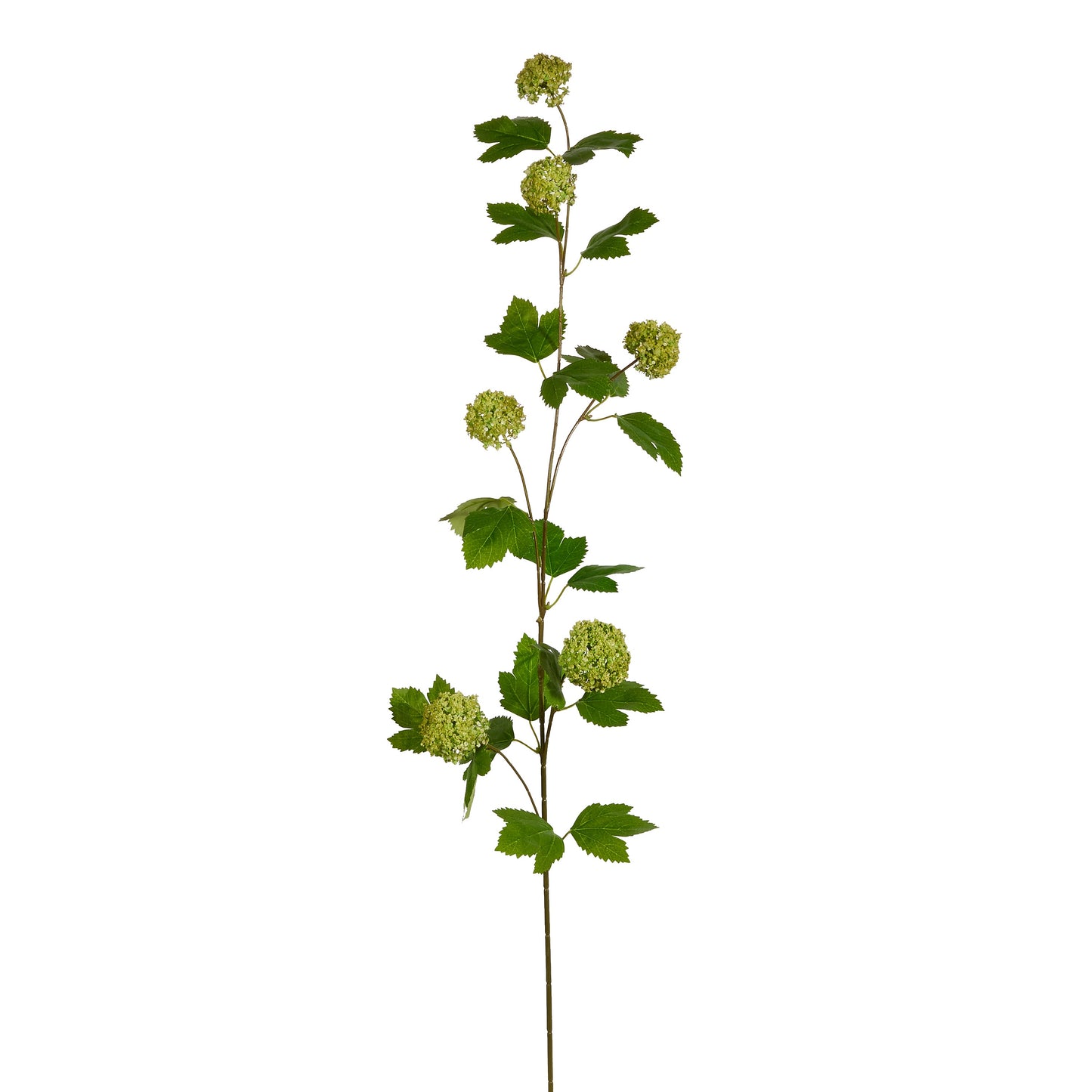 Rama de Hojas Verdes 22"