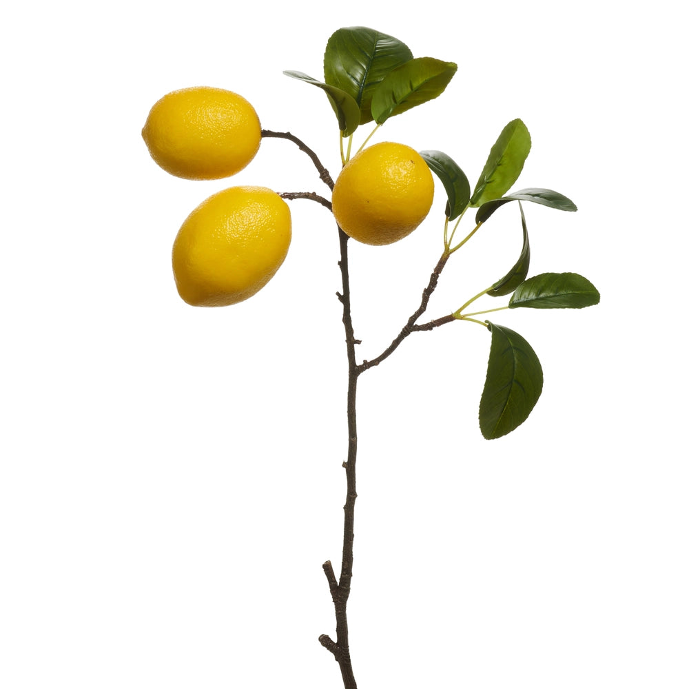 Rama Limones 20"