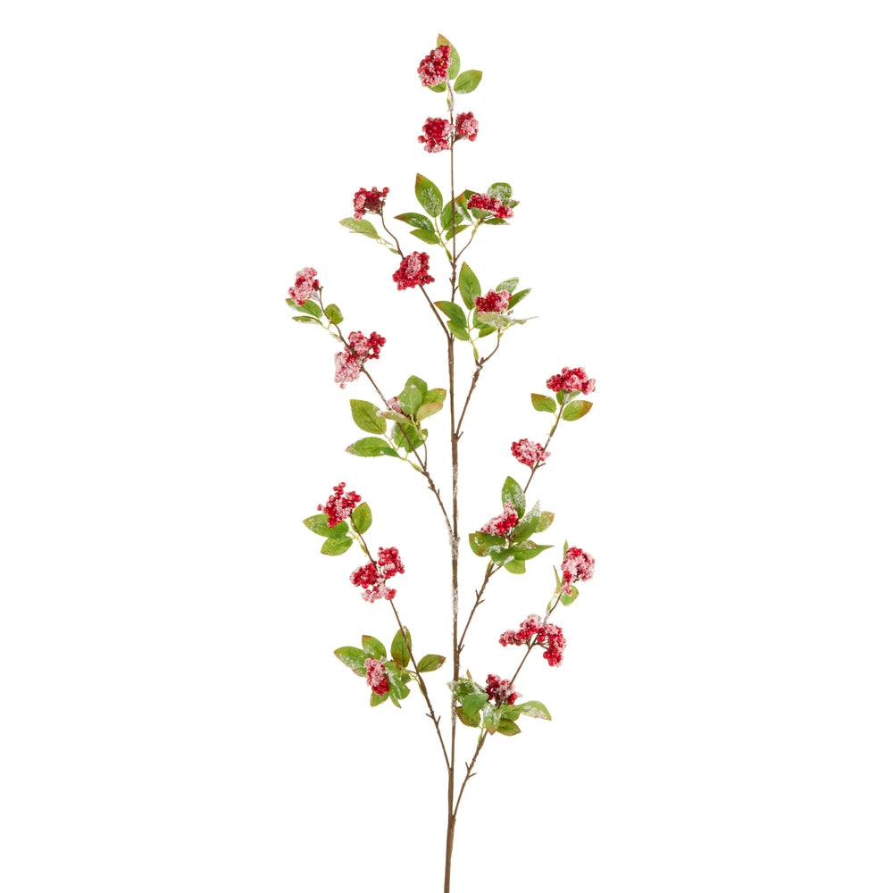 Rama Berry Nevada 39"
