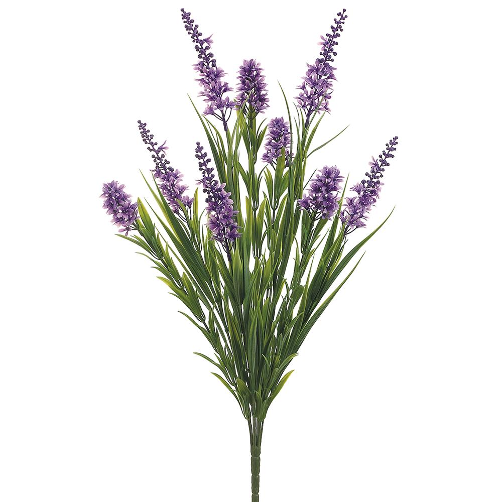 Arbusto Lavanda 23"