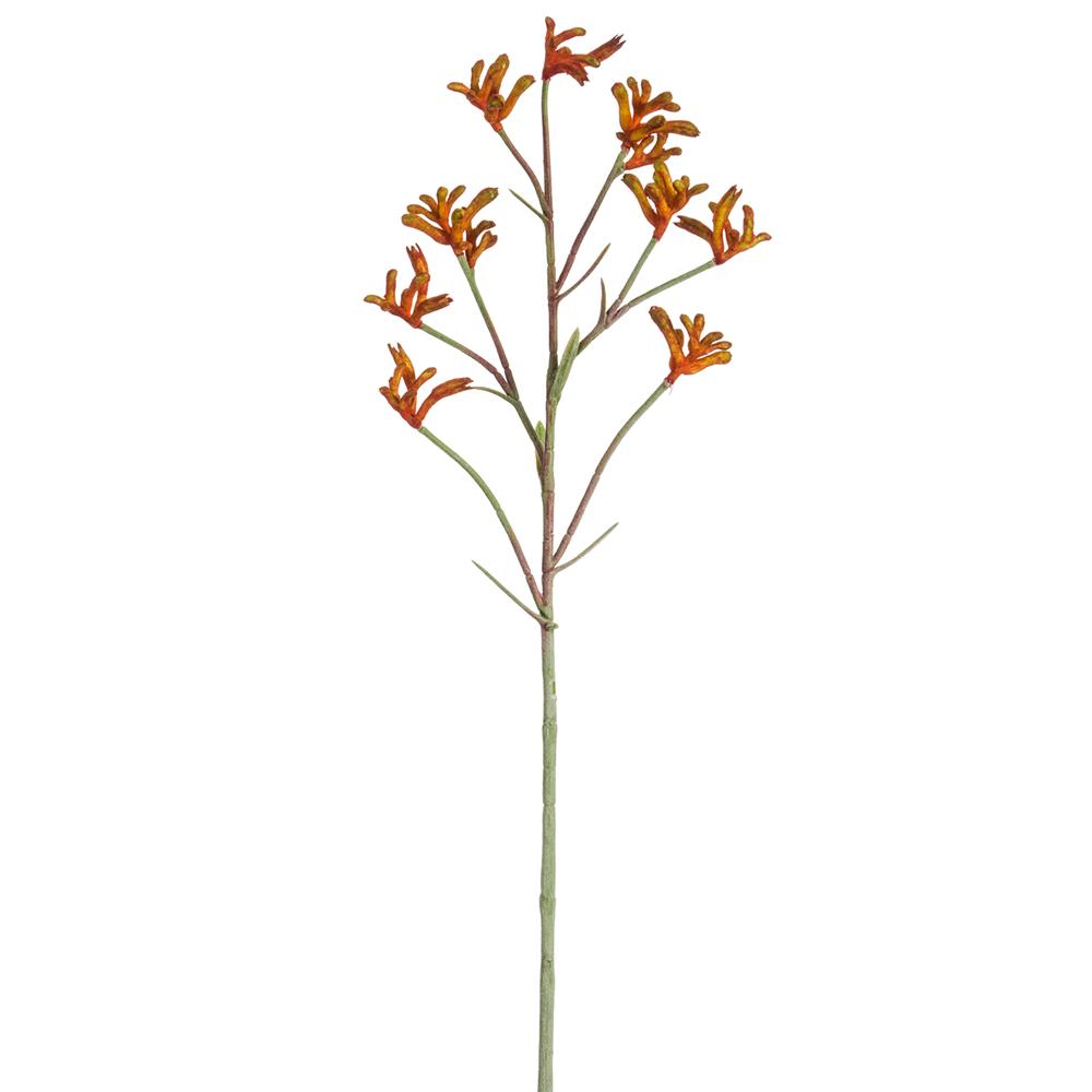 Kangarro Paw 28"