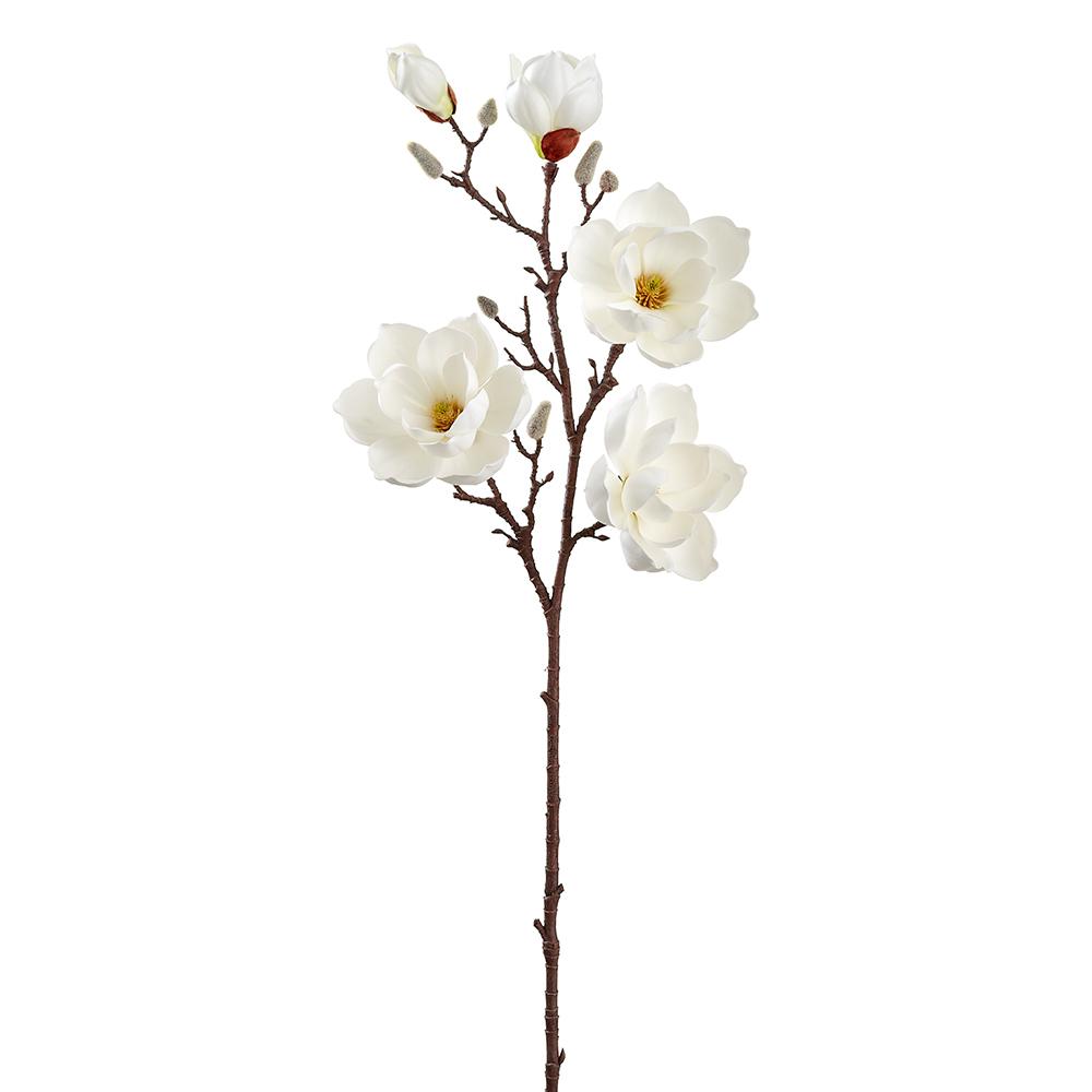 Magnolia 39"