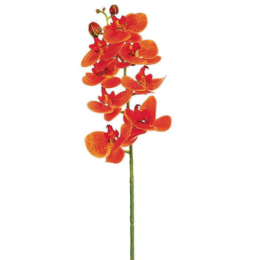 Orquídea Naranja