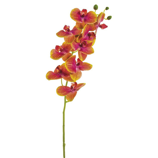 Orquídea Mariposa Rojo/amarillo 30"