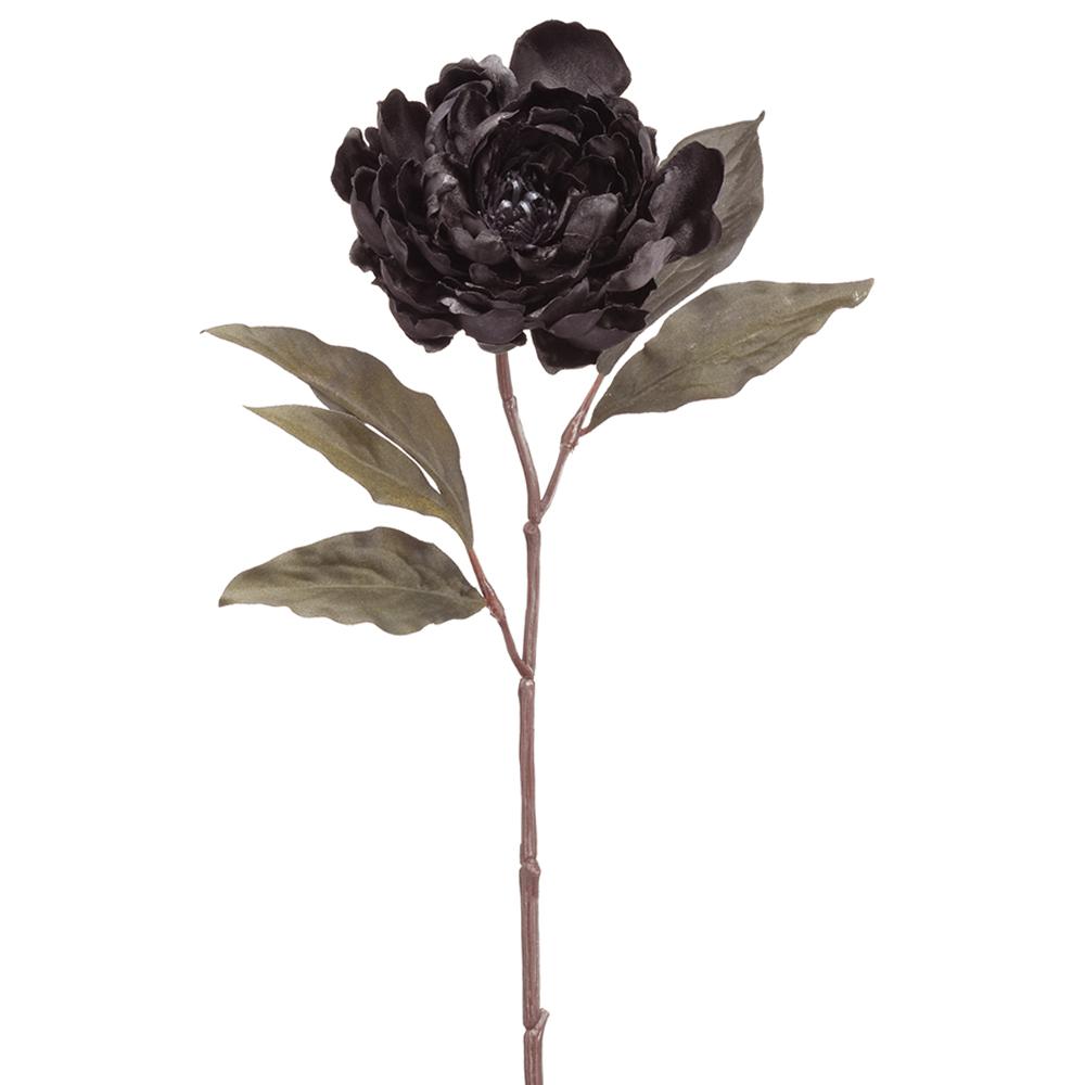 Peonia Negra 18.5"