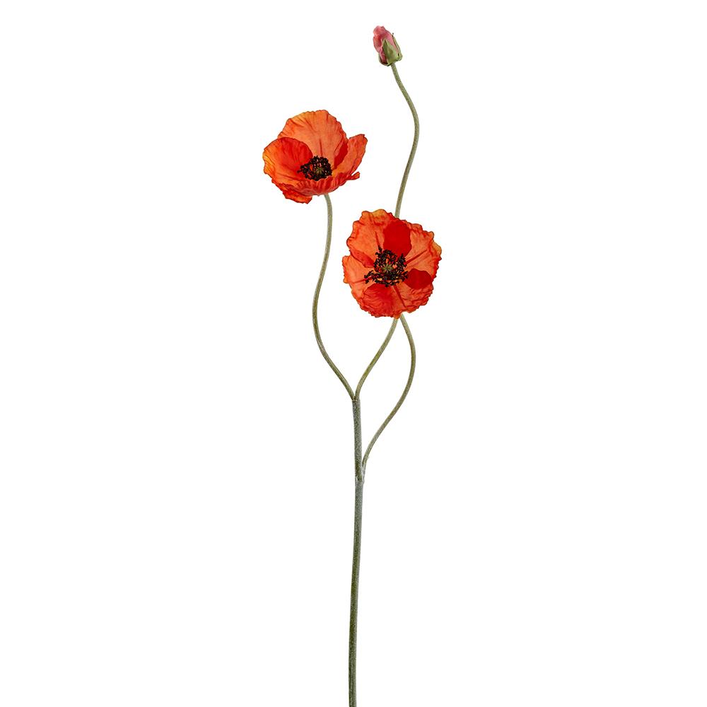 Amapola Naranja 29"