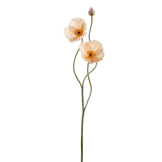 Amapola Durazno 29"