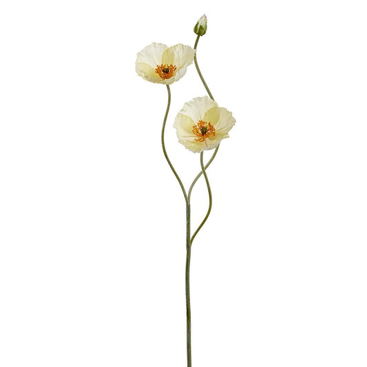 Amapola Blanca 29"