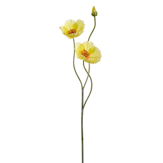 Amapola Amarilla 29"