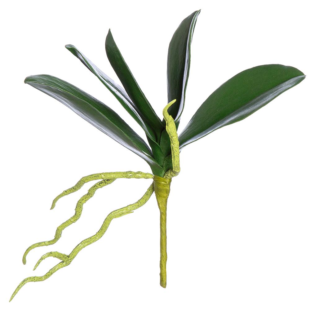 Hojas Orquídea Mariposa 9"