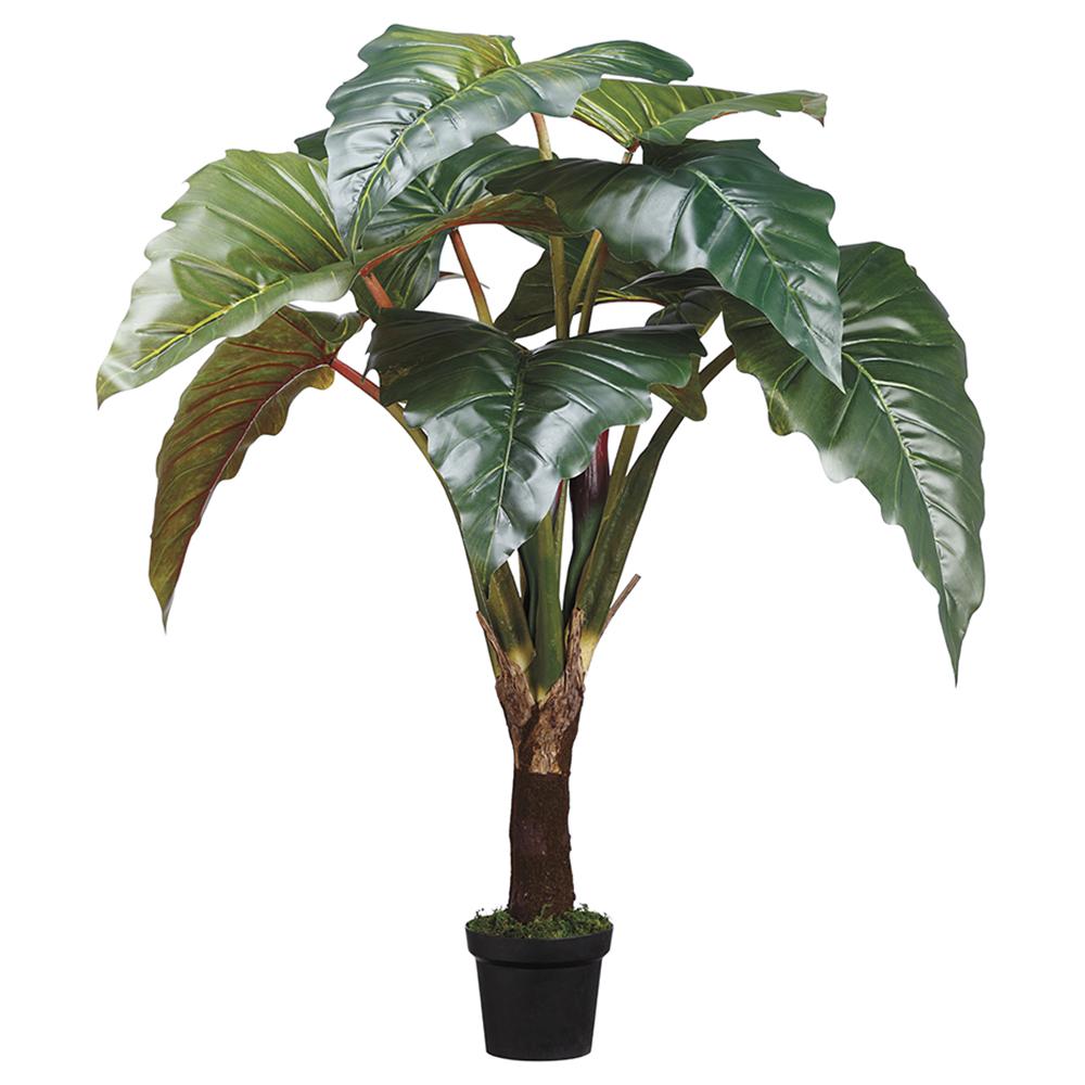 Maceta Filodendro Congo Rojo 58"