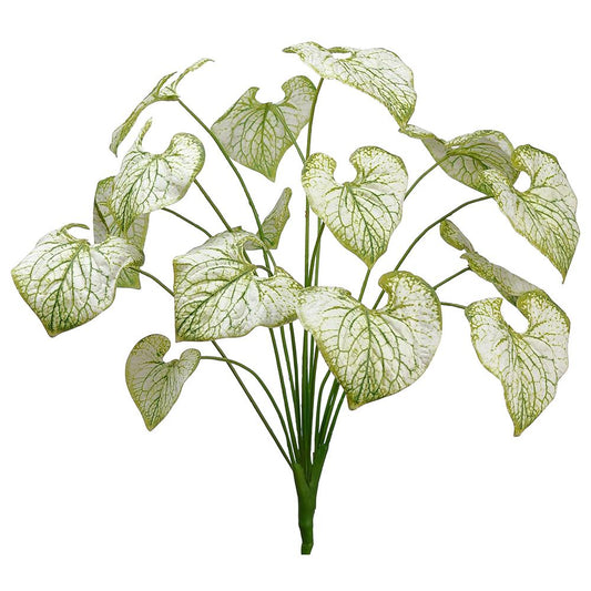 Rama Calathea Verde Claro 24"