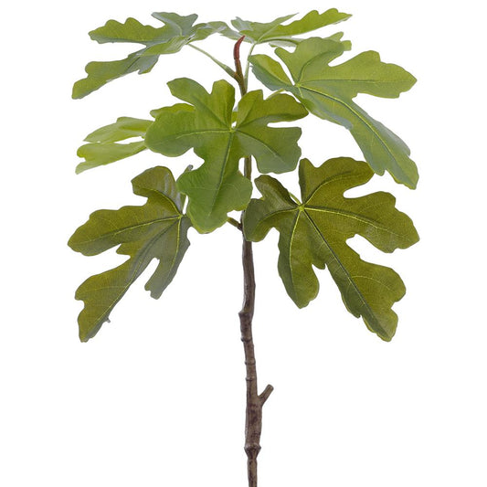 Rama Hoja de higo 29"