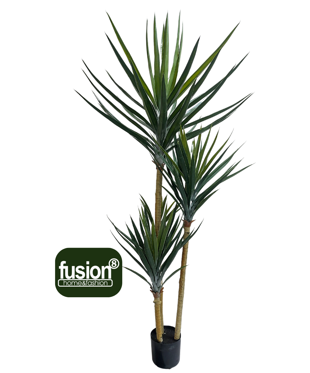 Yucca 180 cm