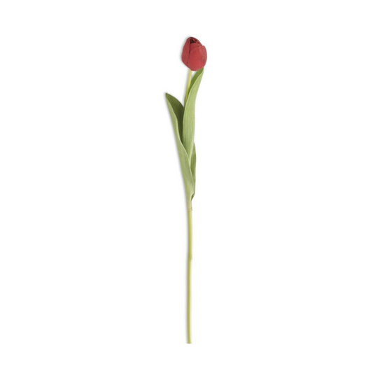 Tulipán Rojo Real Touch