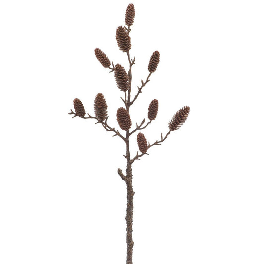 Rama de Piñas 29"